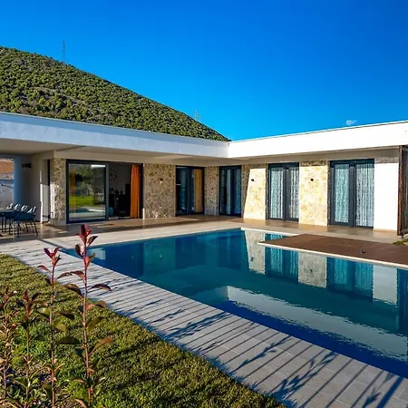 Nera - Etwa מוסטר